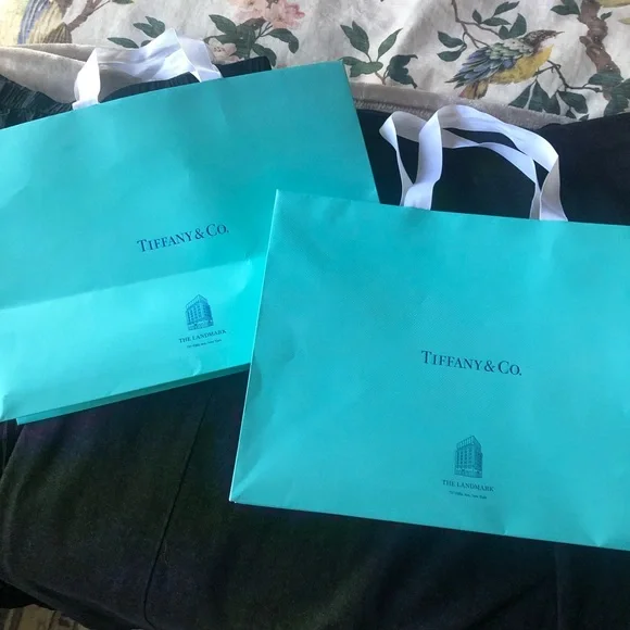 Tiffany & Co. Two large shopping bags and Landmark charm - Picture 7 of 12